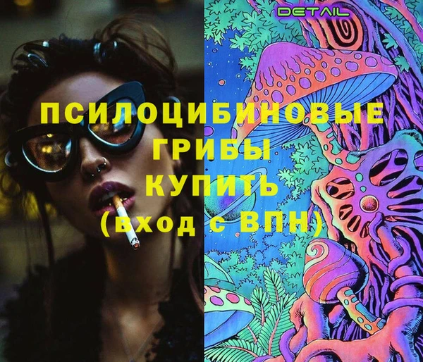 соль ск Магас
