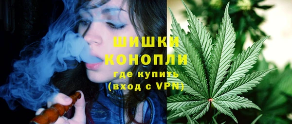 молекула духа Аша