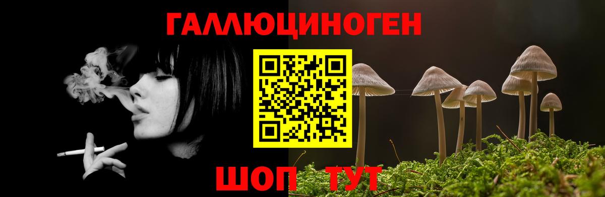 Топки  Галлюциногенные грибы GOLDEN TEACHER  Вход с VPN 