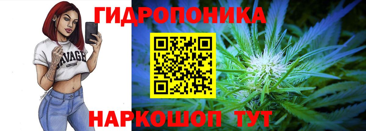 Бошки Шишки гибрид Топки